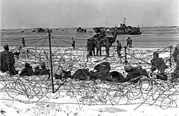 Cuộc 'Đại đào tẩu' bất thành - Kỳ 3